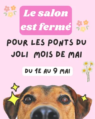 Beau Ti Chien