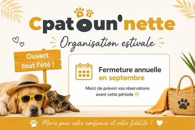 Cpatoun'nette