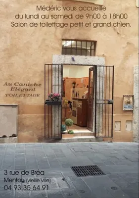 Au Caniche Elégant toiletteur Médéric toilettage petit et grand chien