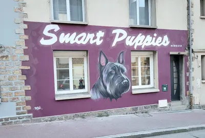 Kamaflo