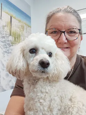 Daniels Groomer Store - Hundesalon & Accessoires