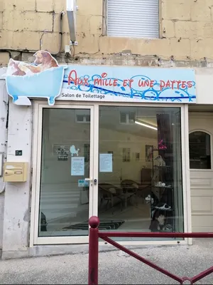Aux Mille Et Une Pattes
