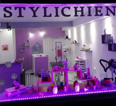 Tomy Chiens Salon