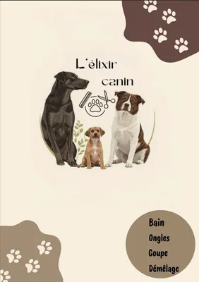 L'élixir canin