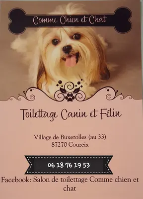 Comme Chien Et Chat