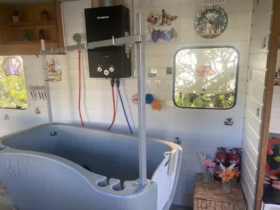 Chihuawow toilettage