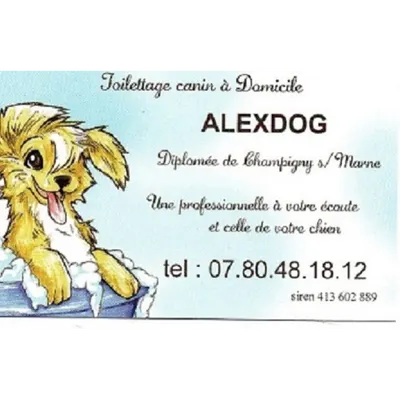 TOILETTAGE ALEXDOG