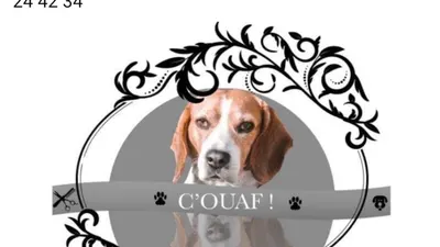 Toiletteuse c'ouaf Gournay en bray