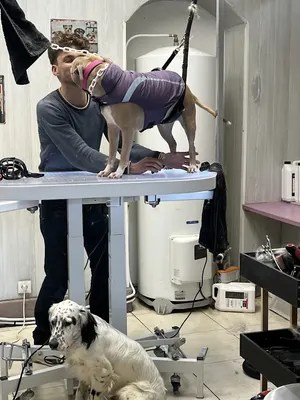 Le Chien Bleu