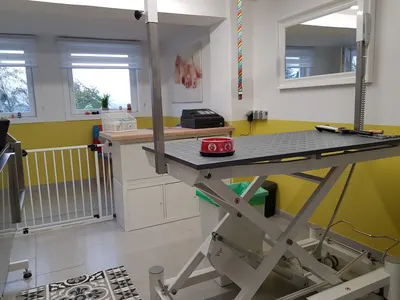 Wuschl Werk - Hundesalon Katzensalon