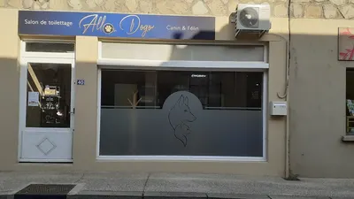Allo Dogo