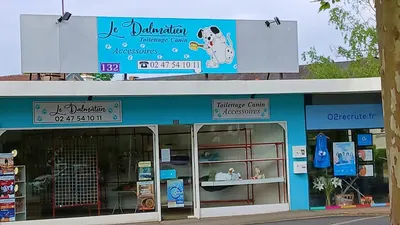 Le Dalmatien