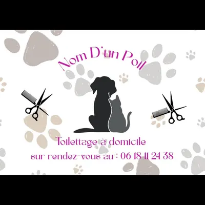 Toiletteuse à domicile Nom D'un Poil
