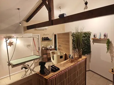 Beauty dream toilettage
