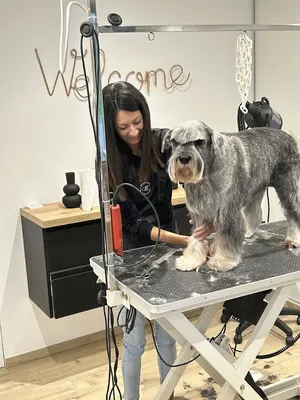 Le Luxe de Ria - Salon de toilettage pour chien