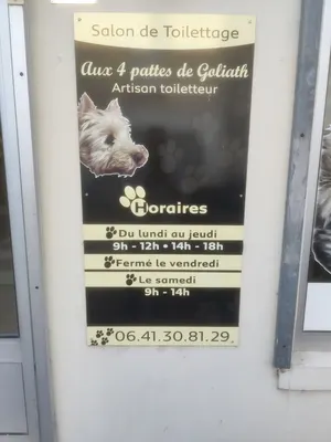 Salon De Toilettage