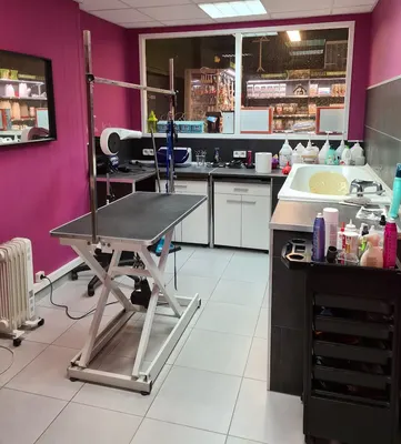O'Poils, salon de toilettage, Castelnau-le-Lez