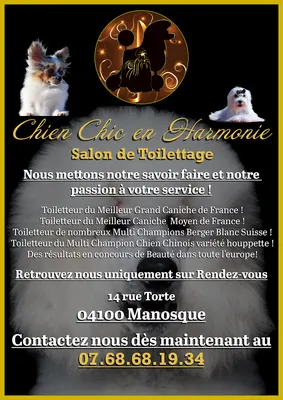 Chien Chic en Harmonie