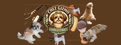 Chez Gizmo Toilettage