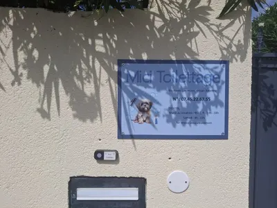 Mici Toilettage