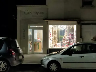Éclat de poils toilettage