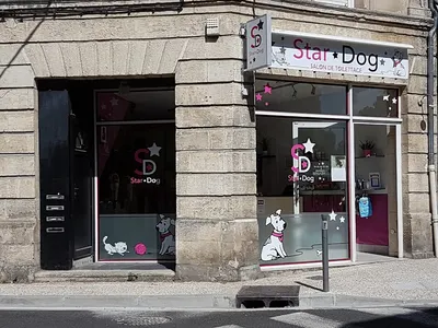 Bulle Dog
