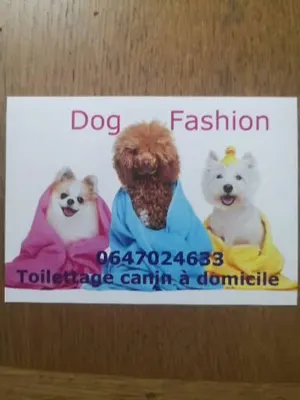 Dog Fashion toilettage à domicile