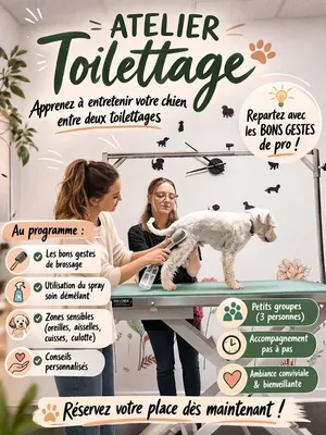 Natural'Dog Toilettage