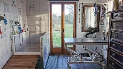 Toilettage Pas à Pattes