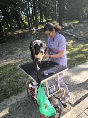 Les Soins canins de Lucie