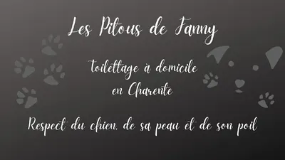 Toilettage à domicile Les Pitous de Fanny