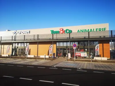 Tom&Co Auchy Les Mines - Dogform
