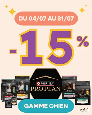 À 4 PATTES