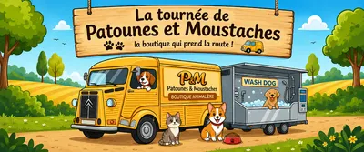 PATOUNES ET MOUSTACHES