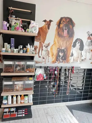 Parenthèse Animale Toilettage et Soins Naturels