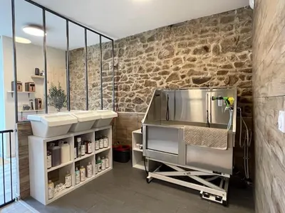 Le salon des loulous