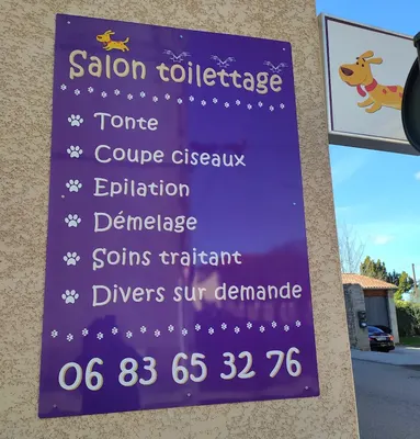 PLANETE TOUTOU BIS