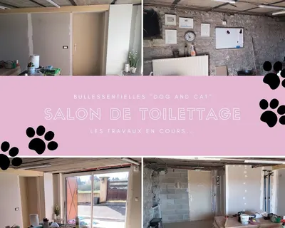 bullessentielles dog and cat