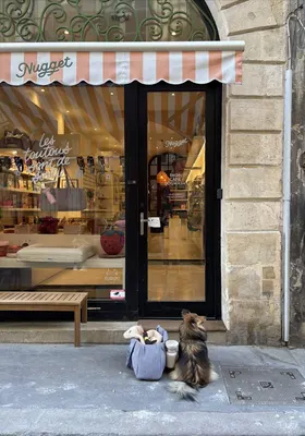 NUGGET - Boutique pour chien & chat à Bordeaux. Concept store café, dogwash et toilettage.