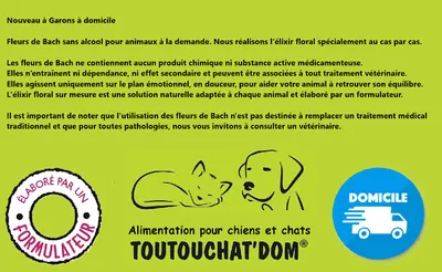 Toutouchatdom