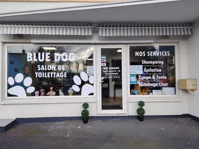 blue dog Mlle Verrien audrey