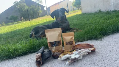 Beauté Canine