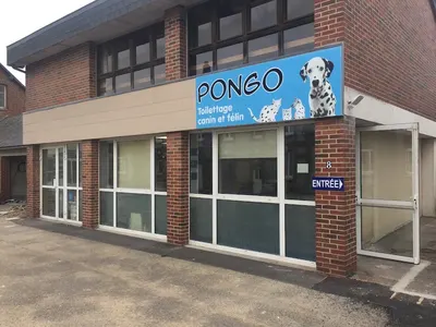 Pongo Toilettage